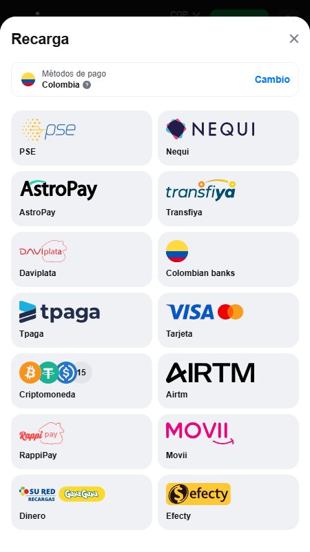 Sección de métodos de pago en 1win